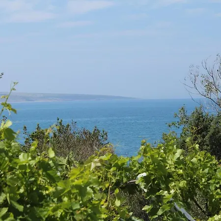 Apartments And Rooms By The Sea Povljana, Pag - 6476 Pensionat Povljana