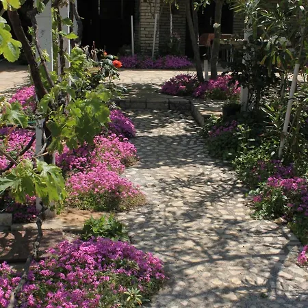 And By The Sea Povljana, Pag - 6476 3*