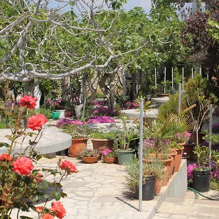 Гостевой дом And By The Sea Povljana, Pag - 6476 3*